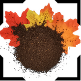 Chicory Root Roasted Pack